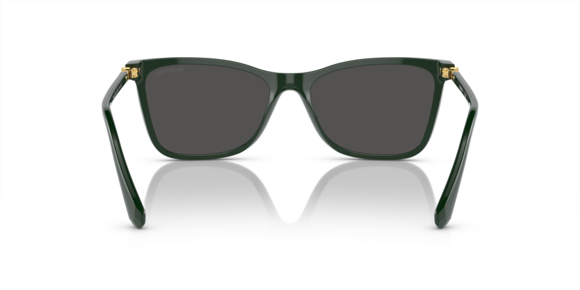 Lunettes de soleil SWAROWSKI OSK6004