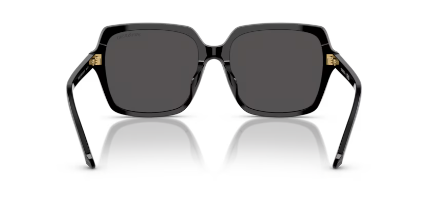 Lunettes de soleil SWAROWSKI OSK6034D