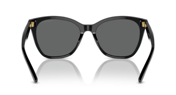 Sonnenbrille Emporio Armani 0EA4221 50178756 Erwachsene