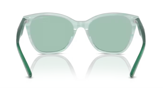 Lunettes de soleil Emporio Armani 0EA4222U 61127156 Adultes