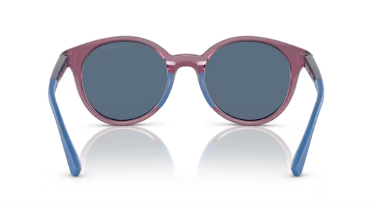 Sonnenbrille EMPORIO ARMANI KIDS 0EK4185 50718047