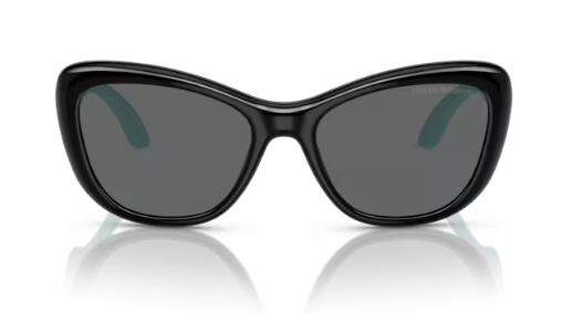 Sunglasses EMPORIO ARMANI KIDS 0EK4004 50178750