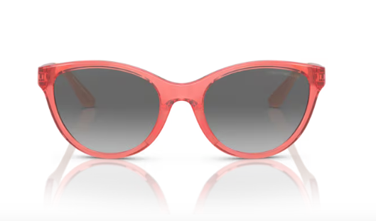 Lunettes de soleil EMPORIO ARMANI KIDS 0EK4003 53771148