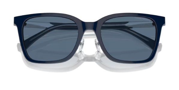 Sonnenbrille Emporio Armani 0EA4226D 60398055 Erwachsene