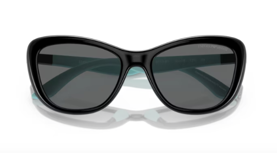 Sunglasses EMPORIO ARMANI KIDS 0EK4004 50178750