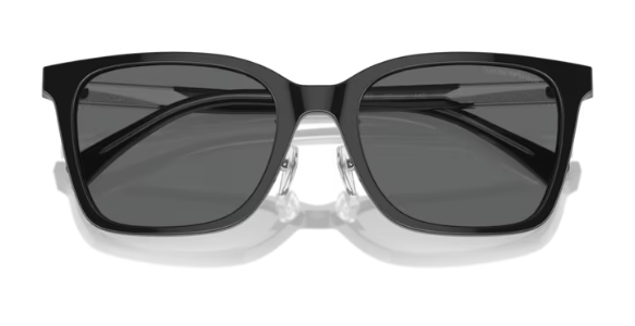 Sonnenbrille Emporio Armani 0EA4226D 50178755 Erwachsene